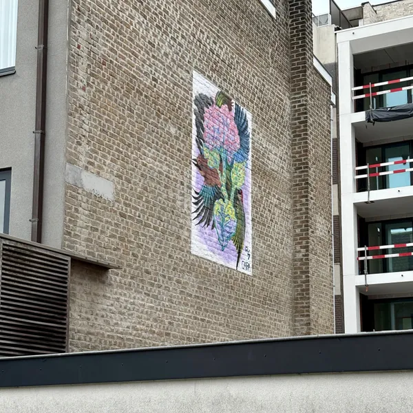 ray hindryckx cara nimmegeers